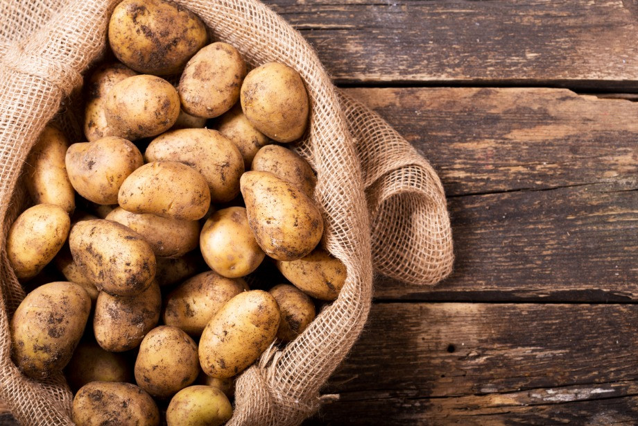 В Карагандинской области прошли выступления о факторах производства качественного картофеля